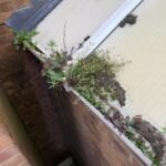 WhatsApp Image 2026-04-08 at 10.04.19