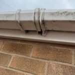 WhatsApp Image 2026-04-08 at 10.06.13