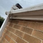 WhatsApp Image 2026-04-08 at 10.06.93